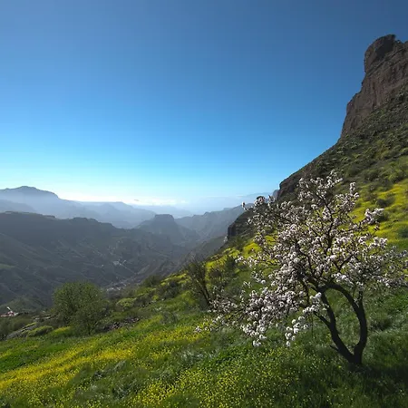 Ξενοδοχείο Emblematico