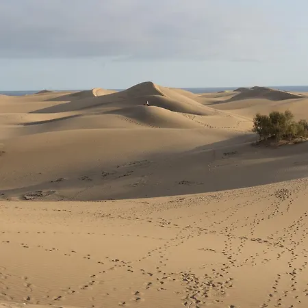 ホテル Emblematico